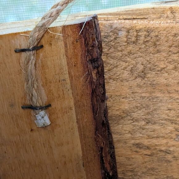 Wooden plank hand painted signed Christmas Tree Truck rustic Primitive hanging - Picture 5 of 8